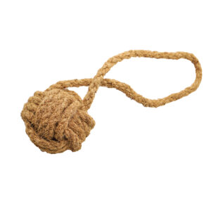 mascota casa - Cocoball small